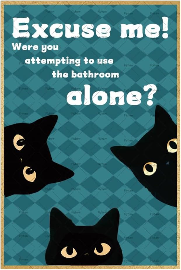 Home Alone Bathroom - 미안해요, 화장실을 혼자 사용하려고 하셨나요? 금속