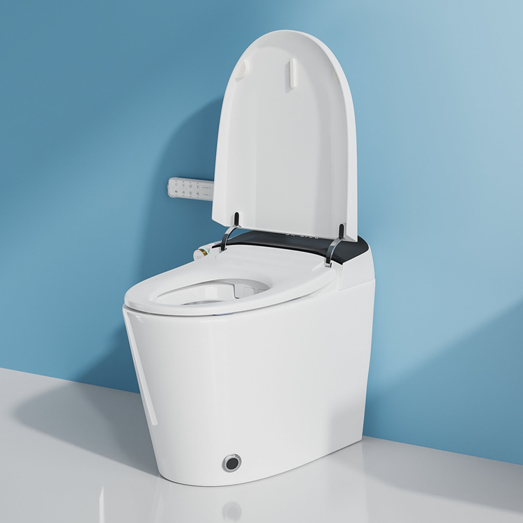 가정용 장식 욕실 스마트 전자 자동 플러시 센서 변기 - Home Bathroom Decor 리뷰 및 가격